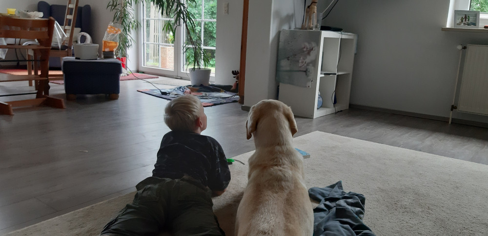 Lütte Knickkieker - Kindertagespflege in Groß Kummerdfeld OT Willingrade Lütte Knickkieker